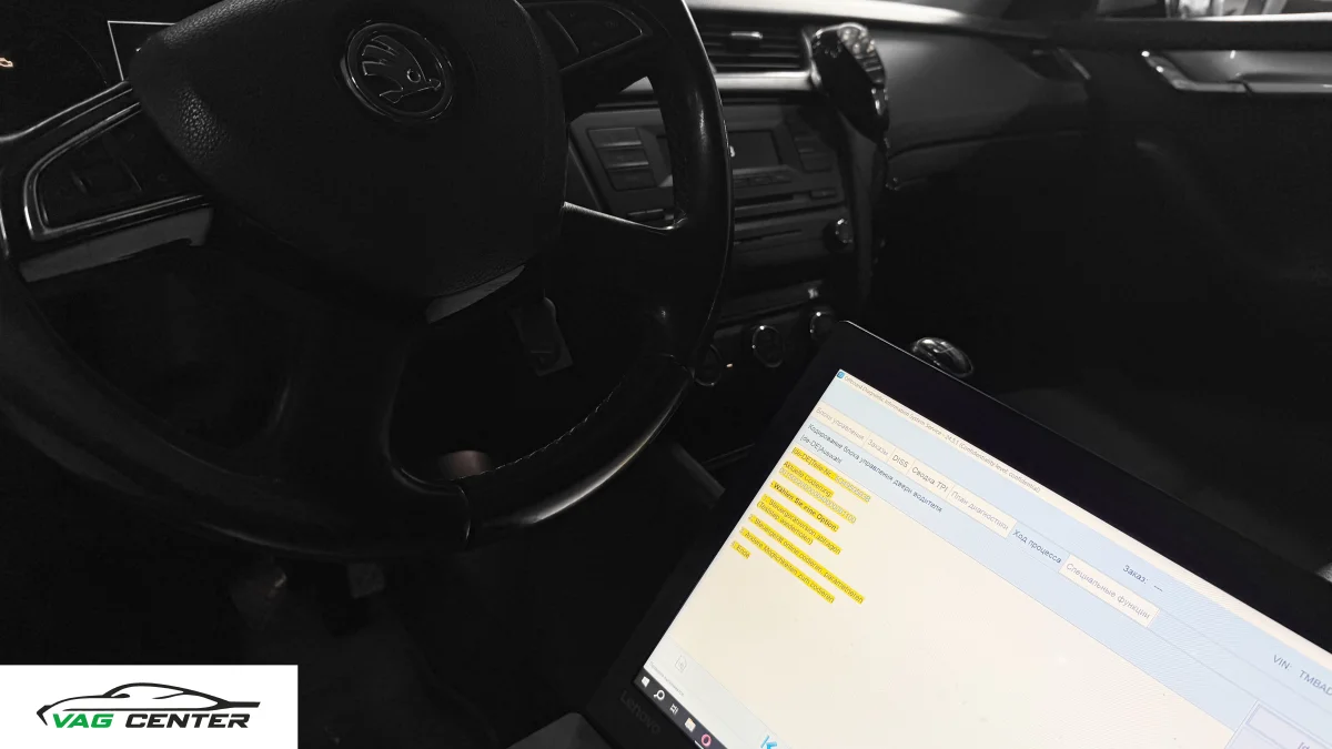 Кодирование и адаптация Skoda Минск | Сеница